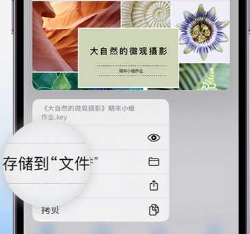 建瓯apple维修中心分享iPhone文件应用中存储和找到下载文件