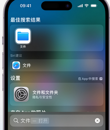 建瓯apple维修中心分享iPhone文件应用中存储和找到下载文件 