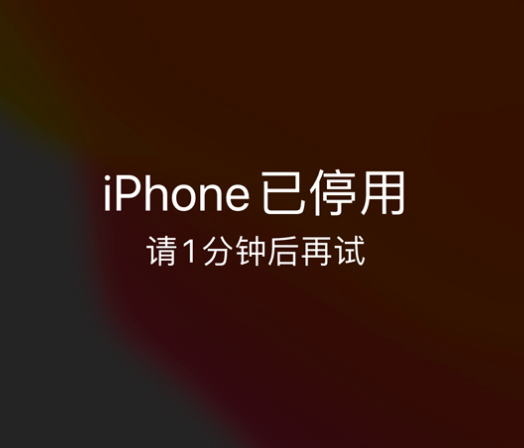 建瓯苹果手机维修分享:iPhone 显示“不可用”或“已停用”怎么办？还能保留数据吗？ 