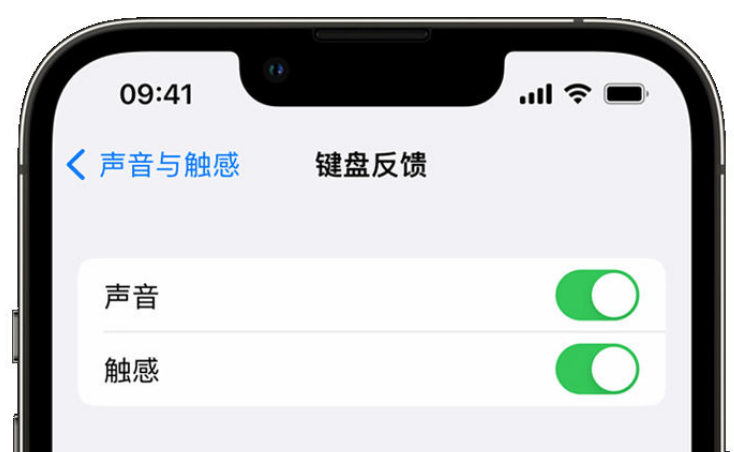 建瓯苹果手机维修分享iPhone 14触感键盘使用方法 