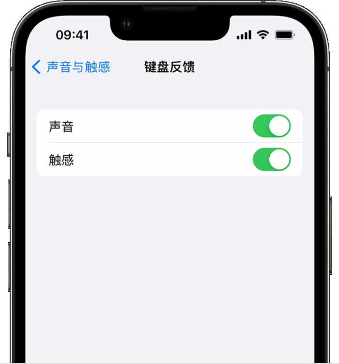 建瓯苹果14维修店分享如何在 iPhone 14 机型中使用触感键盘 