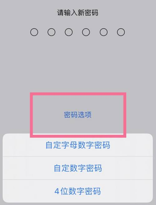 建瓯苹果14维修分享iPhone 14plus设置密码的方法 